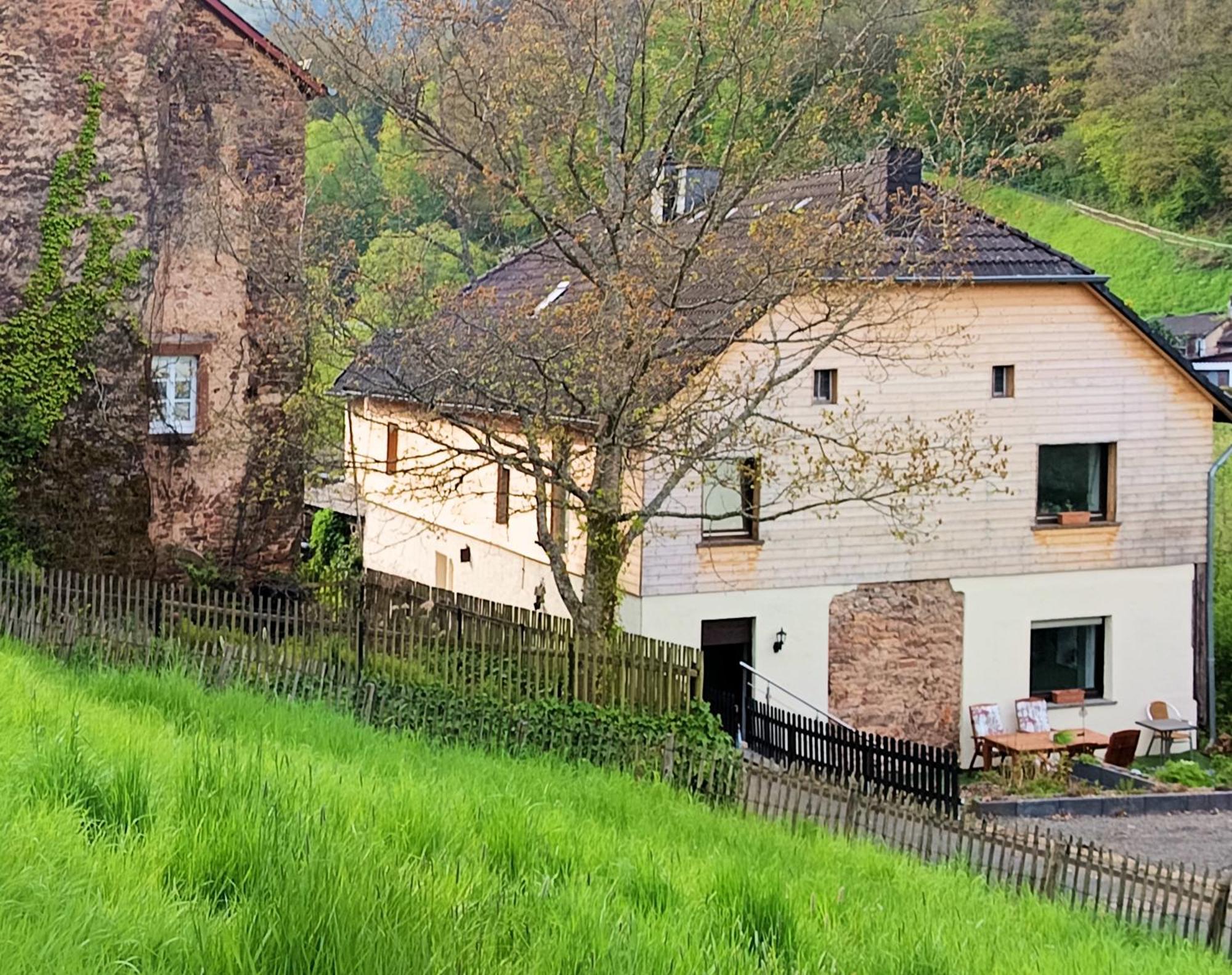 דירות Mürlenbach Haus Am Burgring מראה חיצוני תמונה
